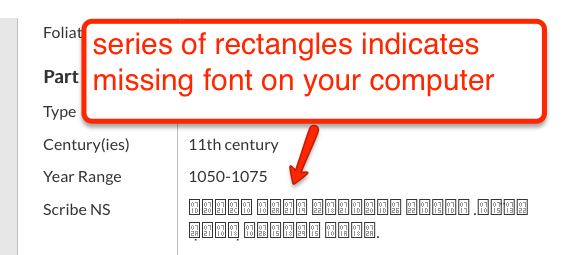 series of rectangles where Syriac characters should be seen